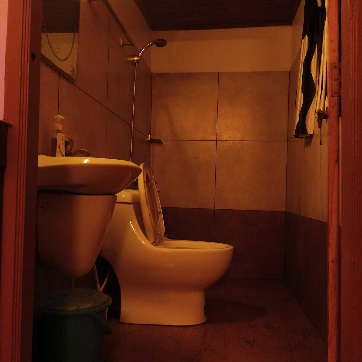 Karthik Houseboat 6